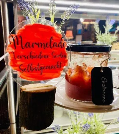 酒店 Schrenkhof 安达赫治